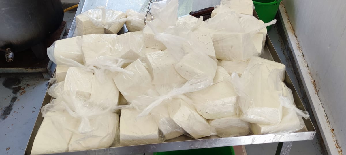 Halloumi!